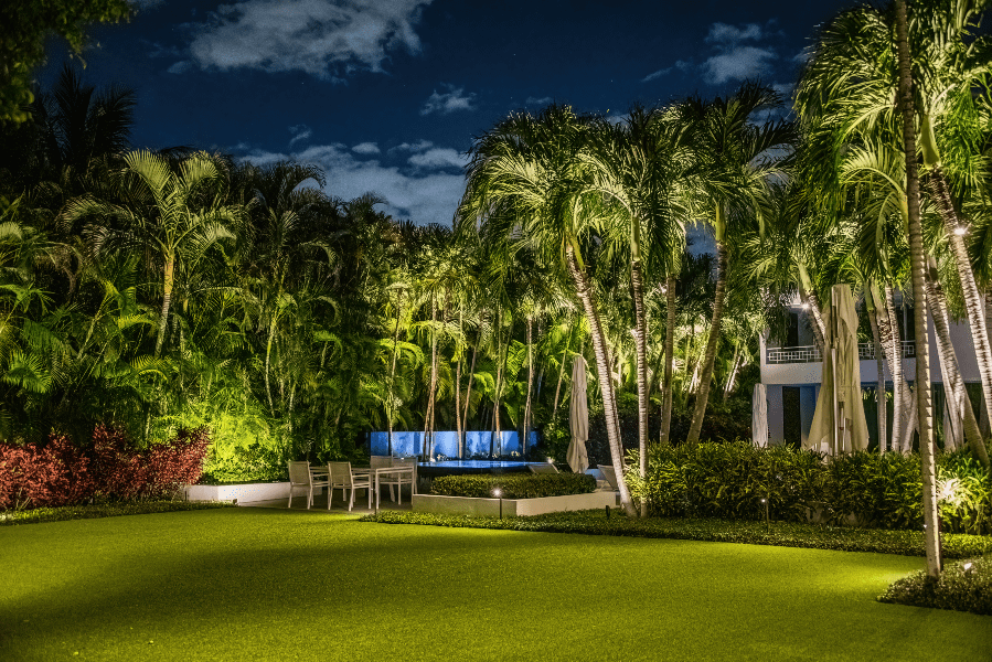 Brightly lit backyard in Florida