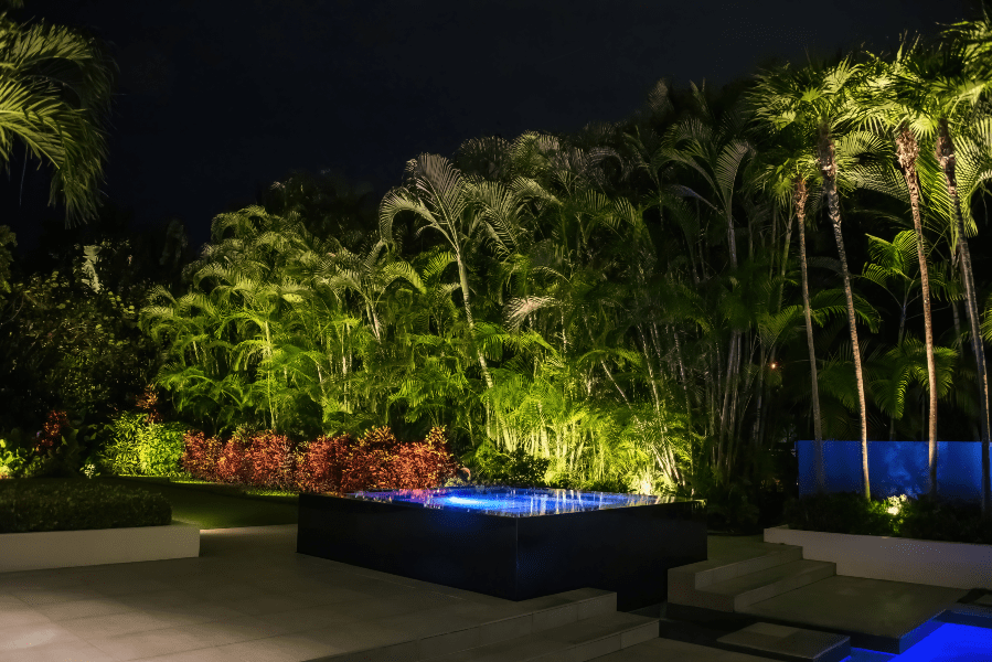 Uplighting beneath palm fronds in florida back yard at night, blue colored jacuzzi